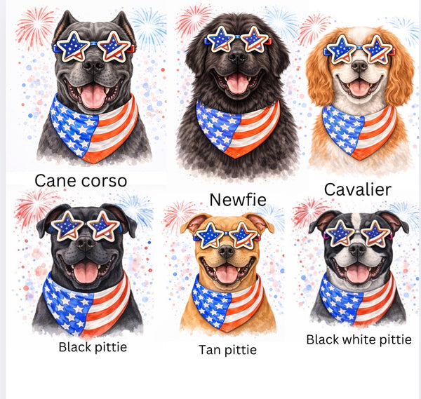 Fourth of July Dogs