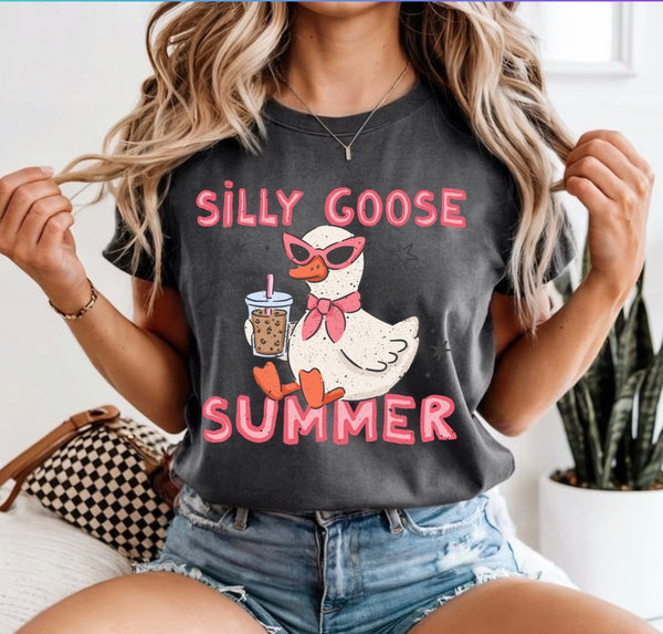 Silly goose summer