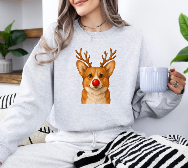 Christmas Reindeer Dogs