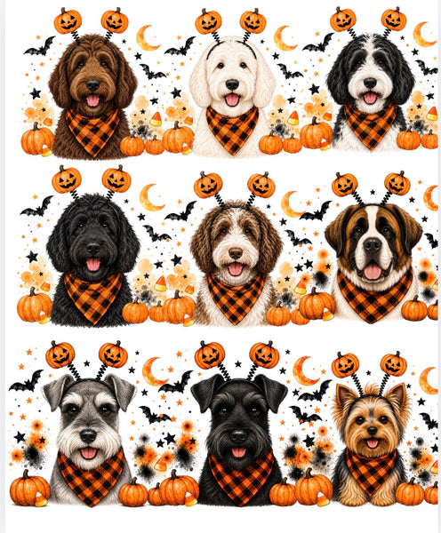 Halloween Dogs Comfort color tee