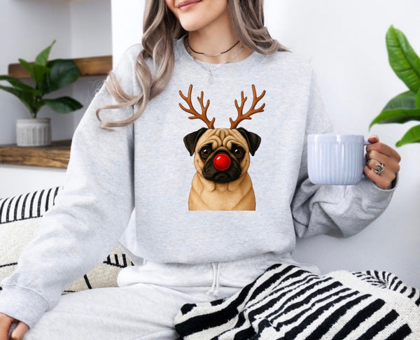 Christmas Reindeer Dogs