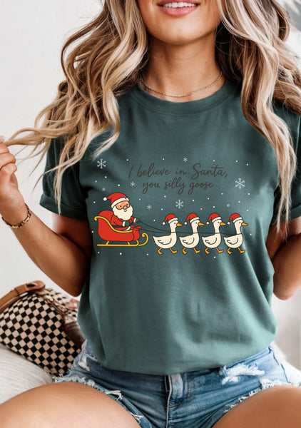 I believe in Santa silly goose