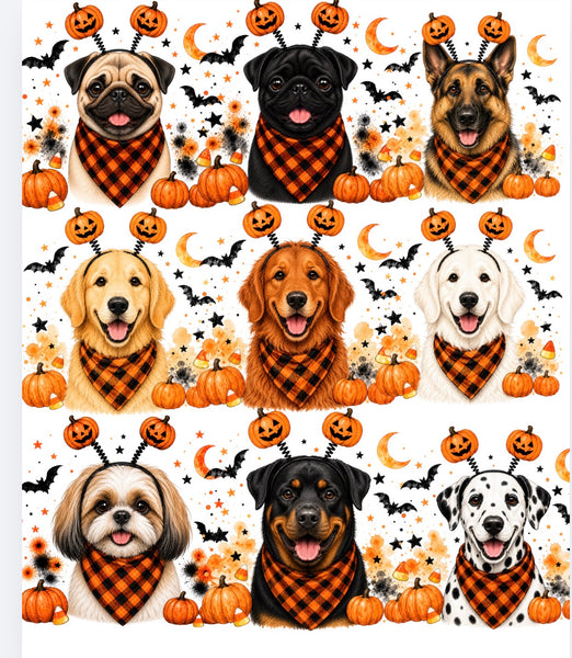 Halloween Dogs Comfort color tee
