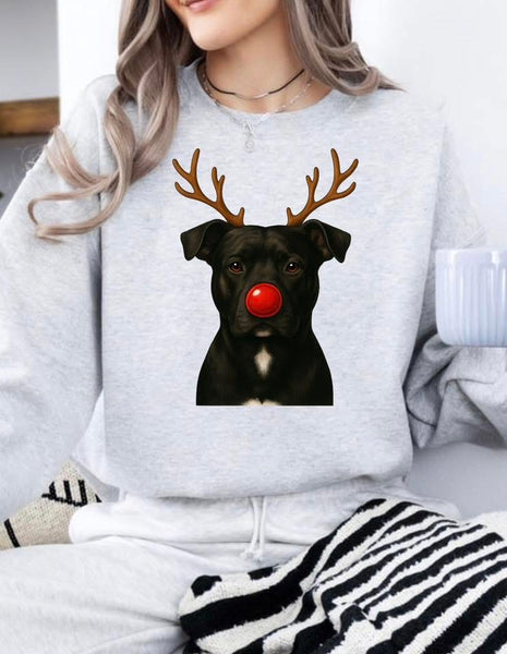 Valentine Dog sweatshirt