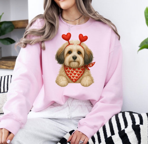Valentine Dog sweatshirt