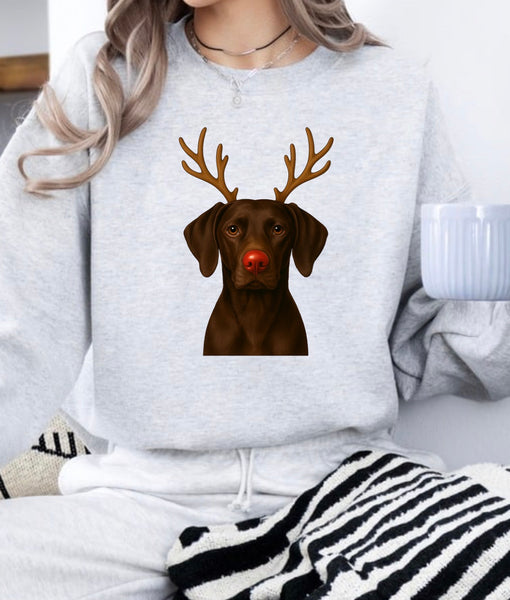 Christmas Reindeer Dogs