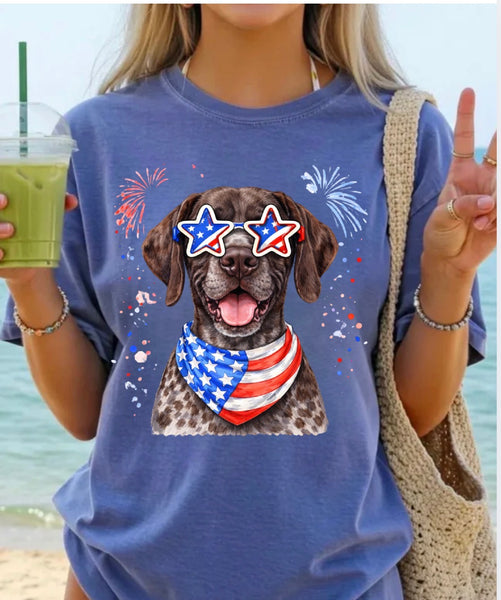 Fourth of July Dogs