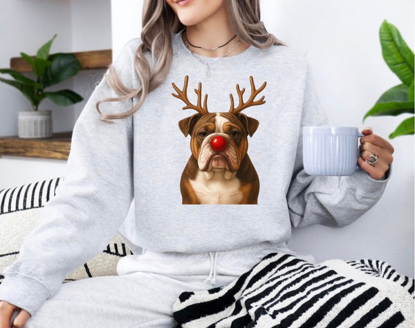 Christmas Reindeer Dogs