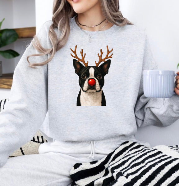 Christmas Reindeer Dogs