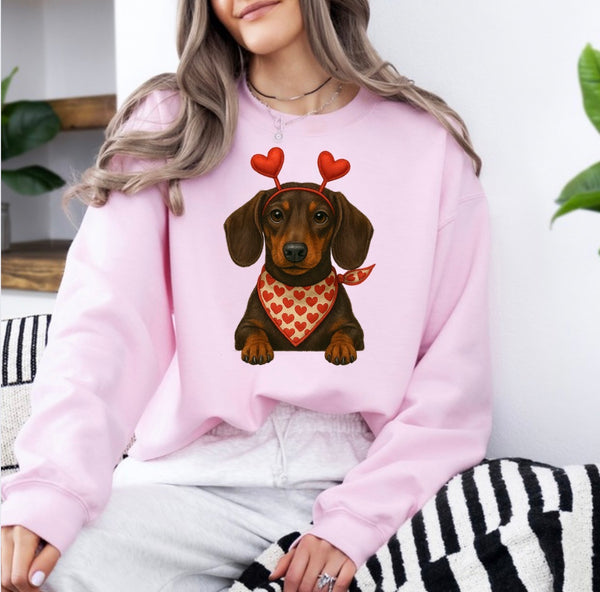 Valentine Dog sweatshirt