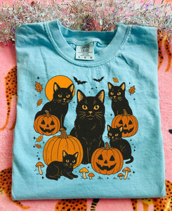 Black cat and pumpkin tee