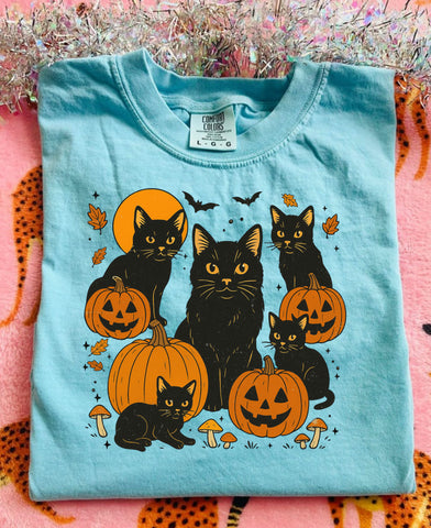Black cat and pumpkin tee