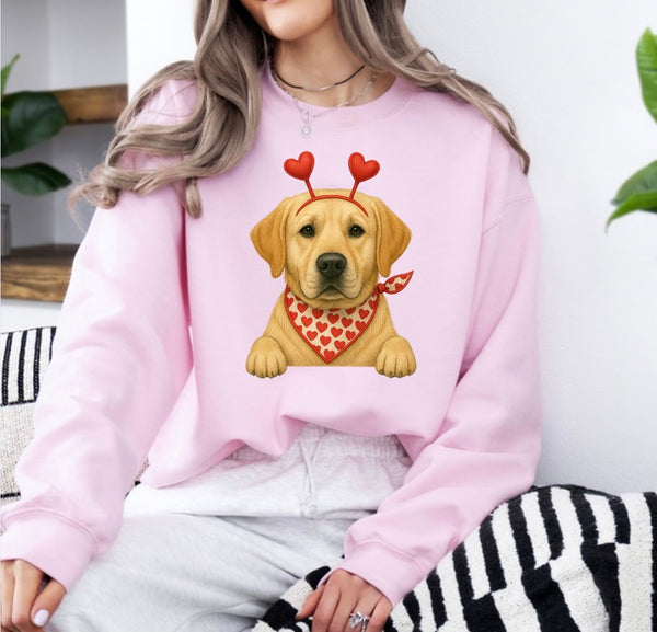 Valentine Dog sweatshirt