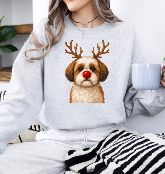 Christmas Reindeer Dogs