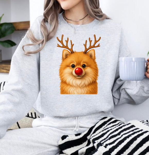 Christmas Reindeer Dogs