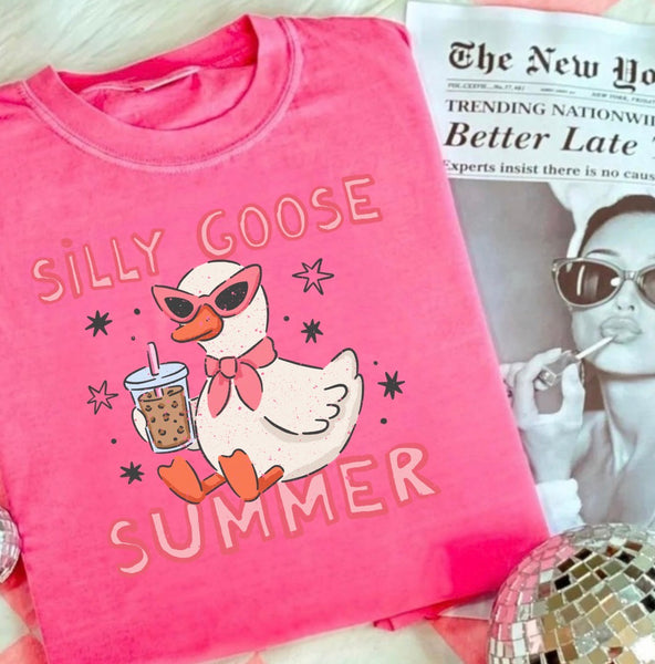 Silly goose summer