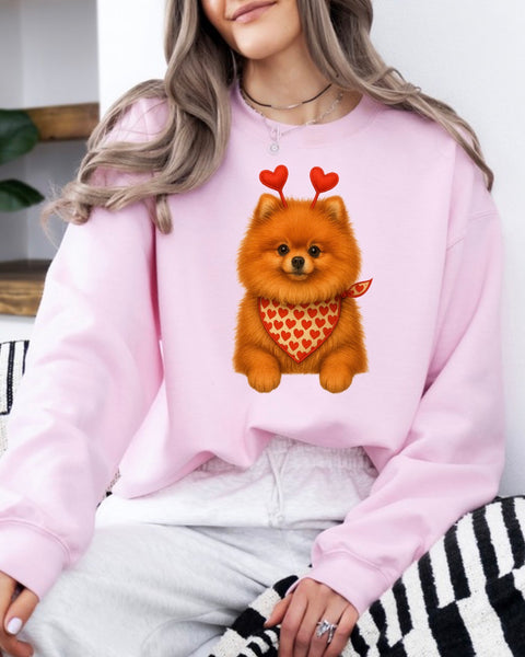Valentine Dog sweatshirt