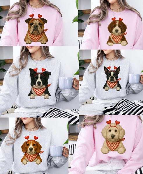 Valentine Dog sweatshirt