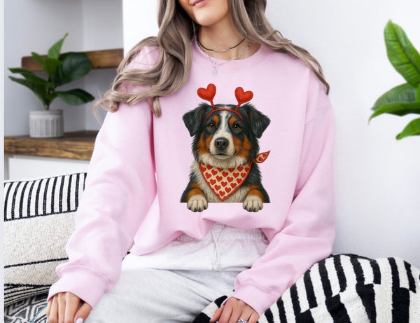 Valentine Dog sweatshirt