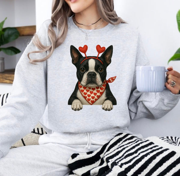 Valentine Dog sweatshirt