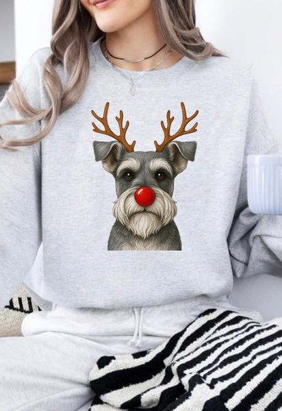 Christmas Reindeer Dogs