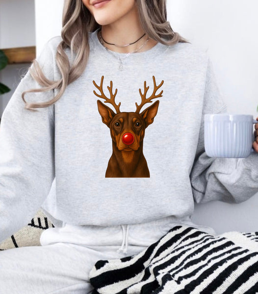 Christmas Reindeer Dogs