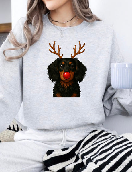 Christmas Reindeer Dogs