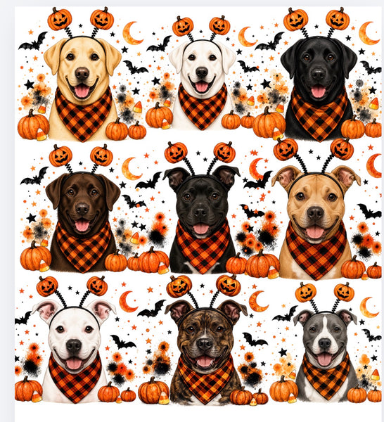 Halloween Dogs Comfort color tee