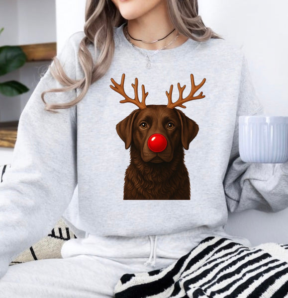 Christmas Reindeer Dogs