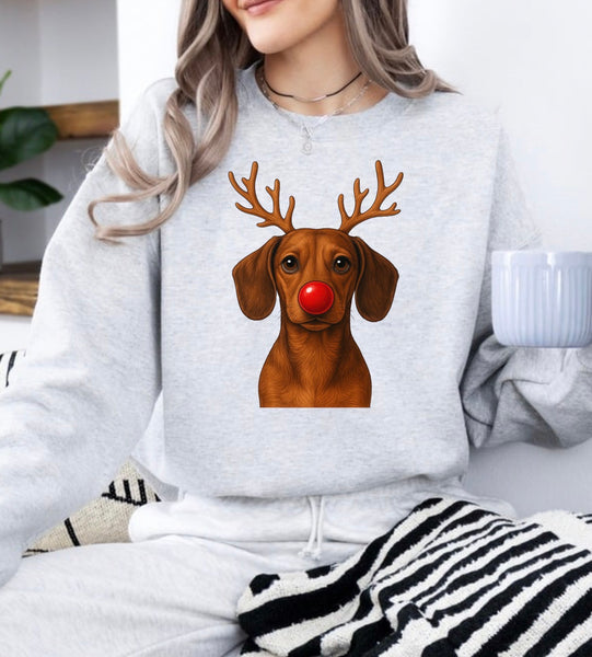 Christmas Reindeer Dogs