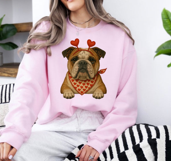 Valentine Dog sweatshirt