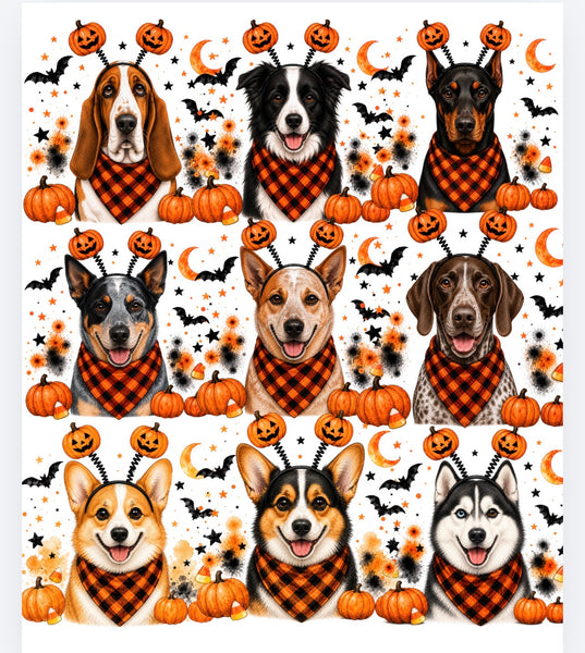 Halloween Dogs Comfort color tee