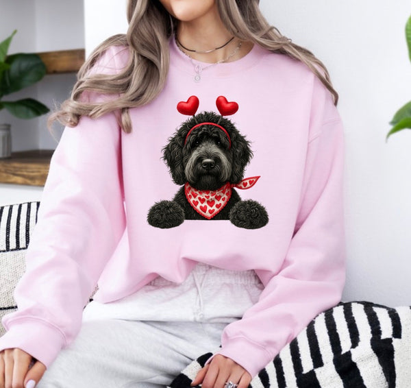 Valentine Dog sweatshirt
