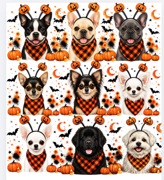 Halloween Dogs Comfort color tee