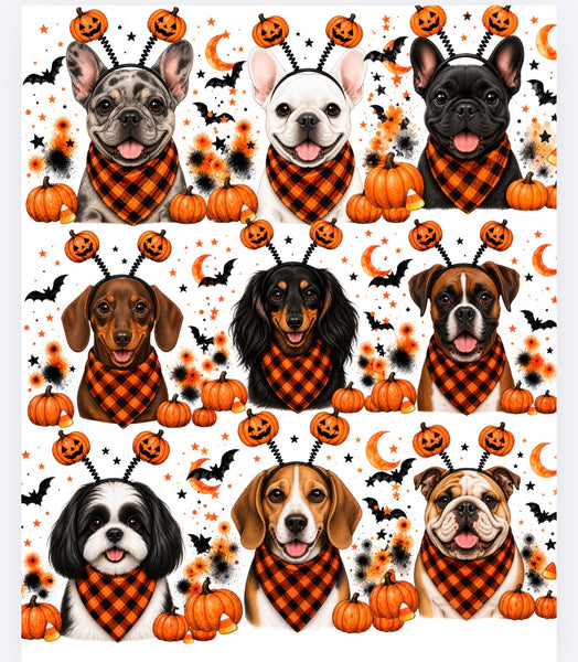 Halloween Dogs Comfort color tee