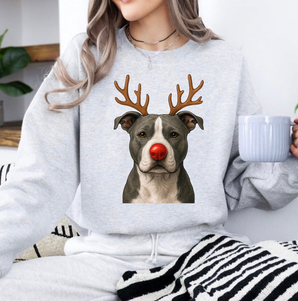 Christmas Reindeer Dogs