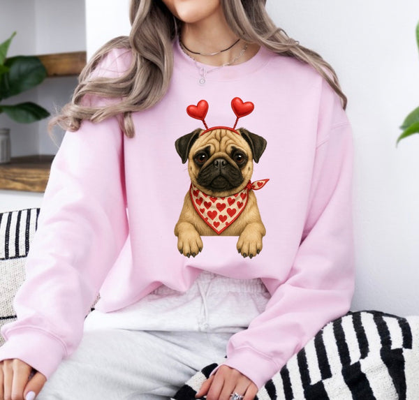Valentine Dog sweatshirt