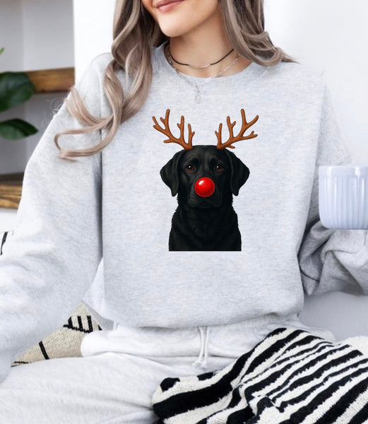 Christmas Reindeer Dogs