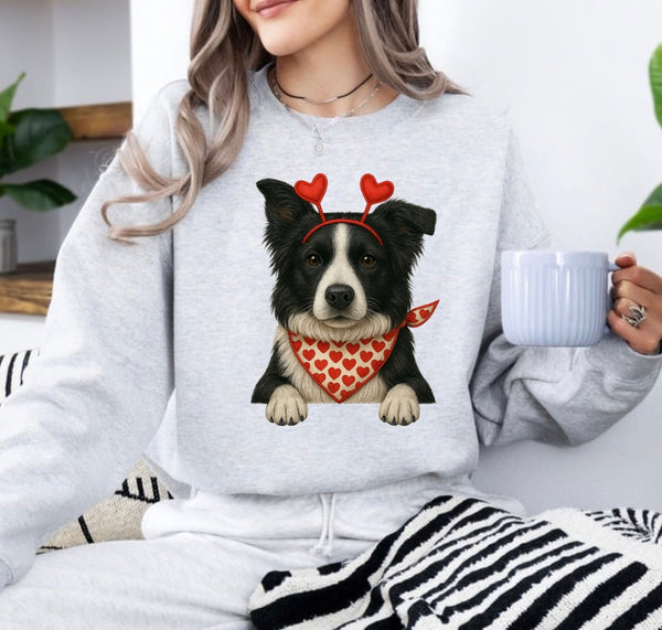 Valentine Dog sweatshirt