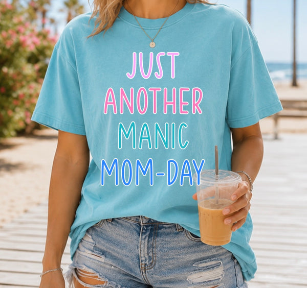 Just another manic mom day
